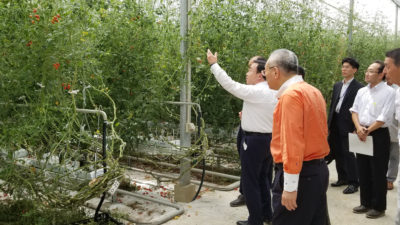 2018/08/03 環境制御型トマト栽培施設 視察